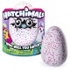 Hatchimals Pengualas Uovo Interattivo - Spin Master 6028874